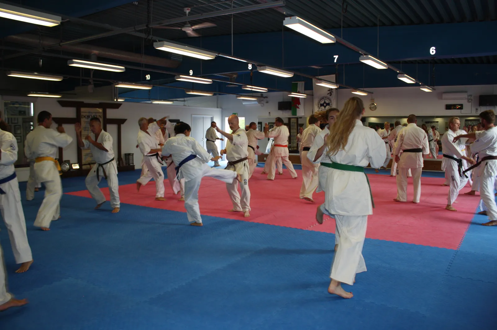 Göteborgs Karate Kai — kampsport-studio i Majorna, Göteborg — 2