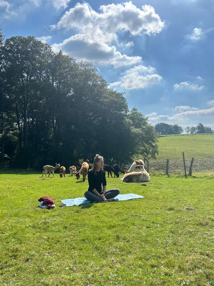 CathYoga - Flow & Be — yoga-studio in Hilden — 3