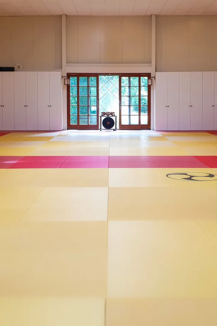 Budo Hans Roos — Vechtsport in Gorzenhoek, Oud-Beijerland