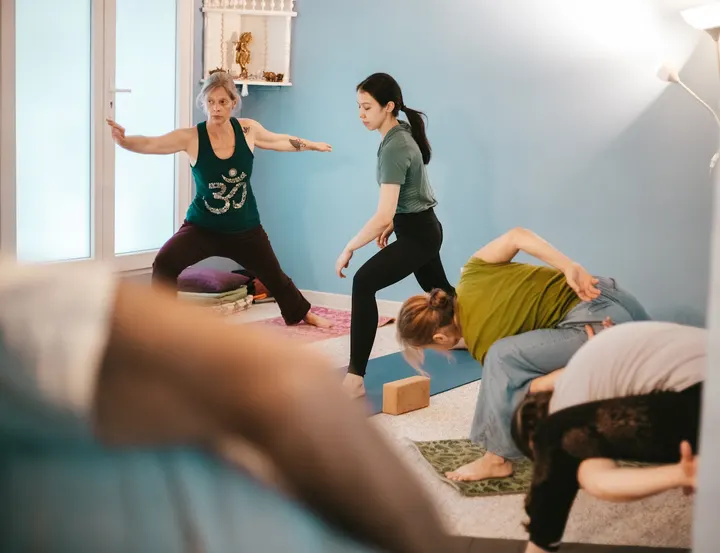Emmanuel Poirot Yoga — Yoga à Secteur 4, Grenoble