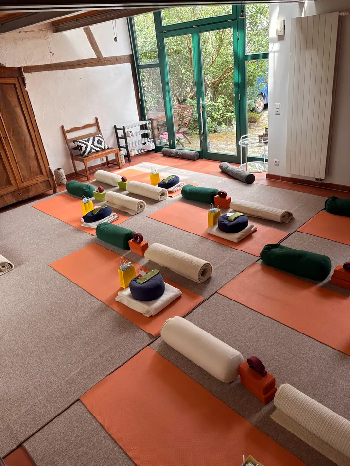Studio Mima | Mental Coaching und Yoga Münster — Yoga in Mauritz-West, Münster