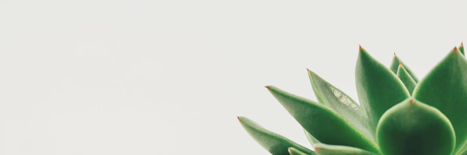 YuWellness — yoga-studio in Bilton, Harrogate — 2