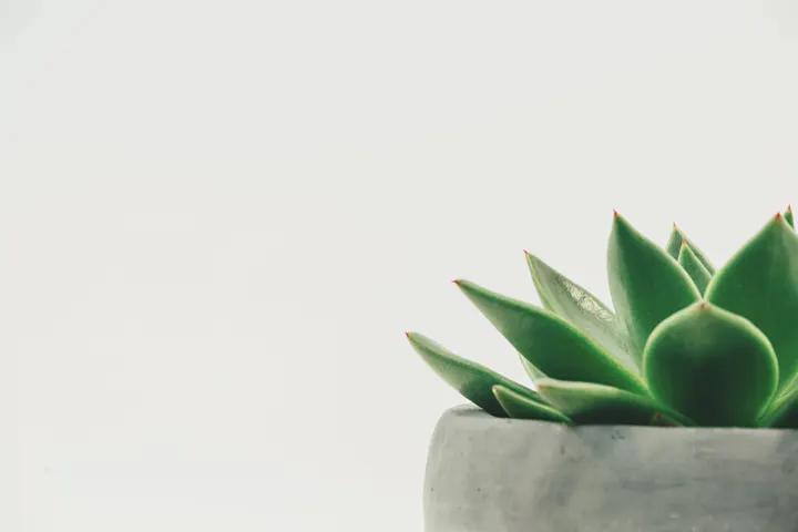 YuWellness — yoga-studio in Bilton, Harrogate — 2