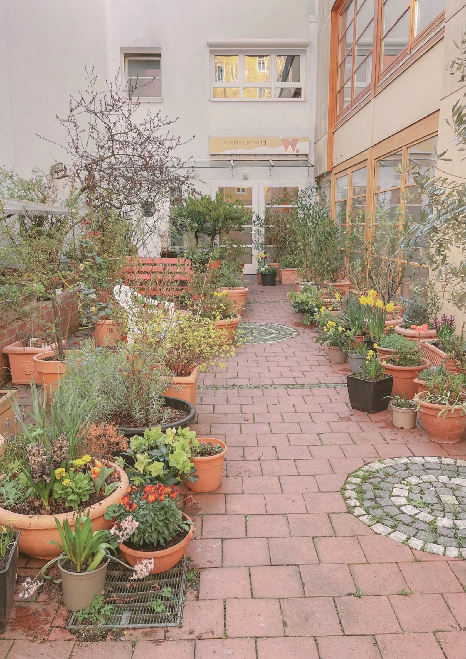 The Collective Flow — yoga-studio i München — 2
