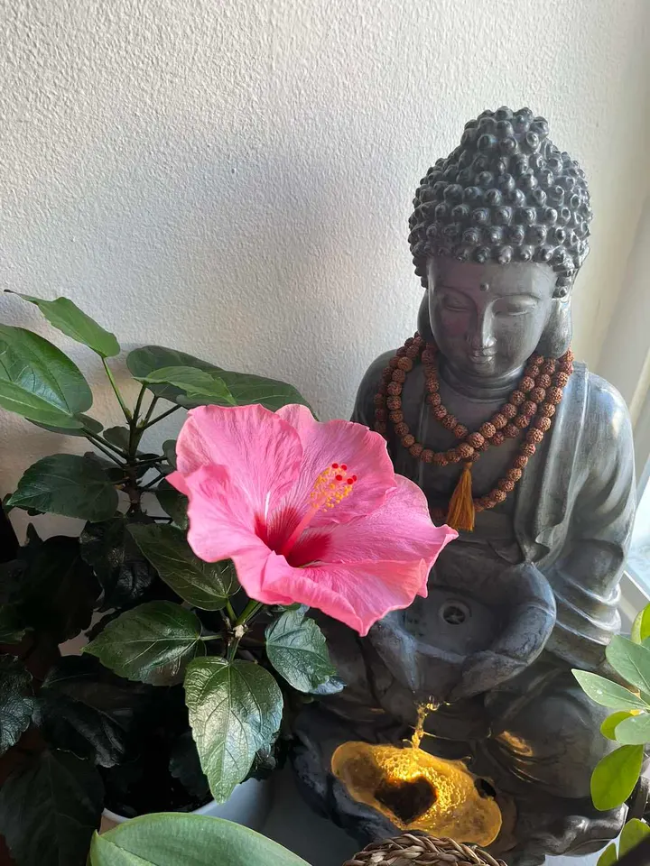 Nakshatri healing studio — wellness-studio i Centrum, Växjö — 3