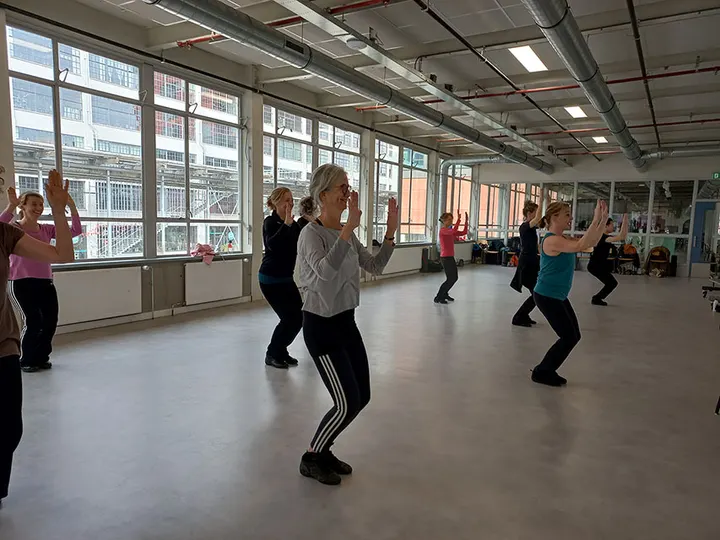 Dansconditie Annemarie — Dans in Strijp, Eindhoven