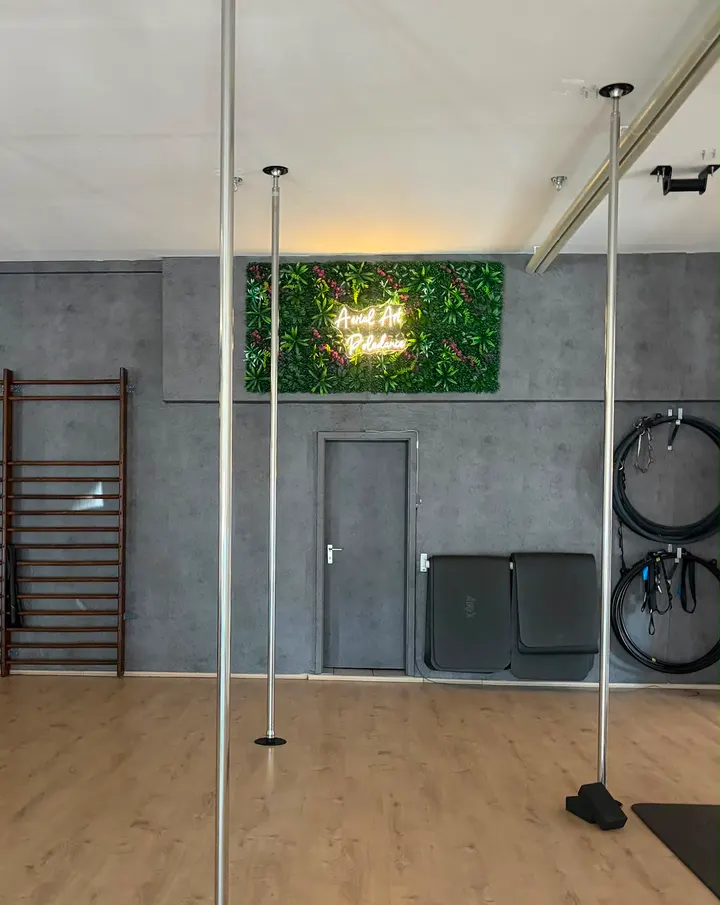 Aerial Art Großherzog-Friedrich-Straße — Pole Fitness in Am Staden, Saarbrücken