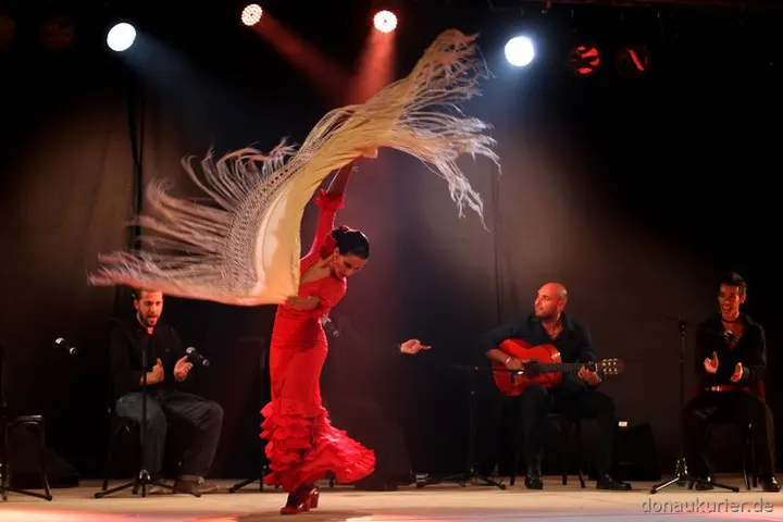 MontserratFlamenco — tanz-studio in Maxvorstadt, München — 2