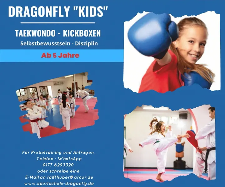 Sportschule Dragonfly — kampfsport-studio in Rheinstetten-Mörsch — 4