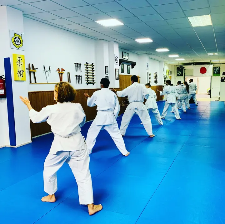 Aikido Isabel Planells — artes marciales-studio en Lugo, Las Palmas de Gran Canaria — 3