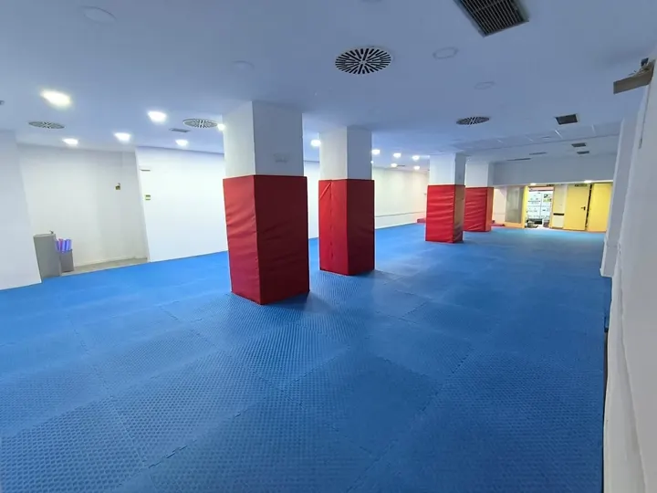 Dojo Dento Ryu 3 — artes marciales-studio en Zaragoza — 4