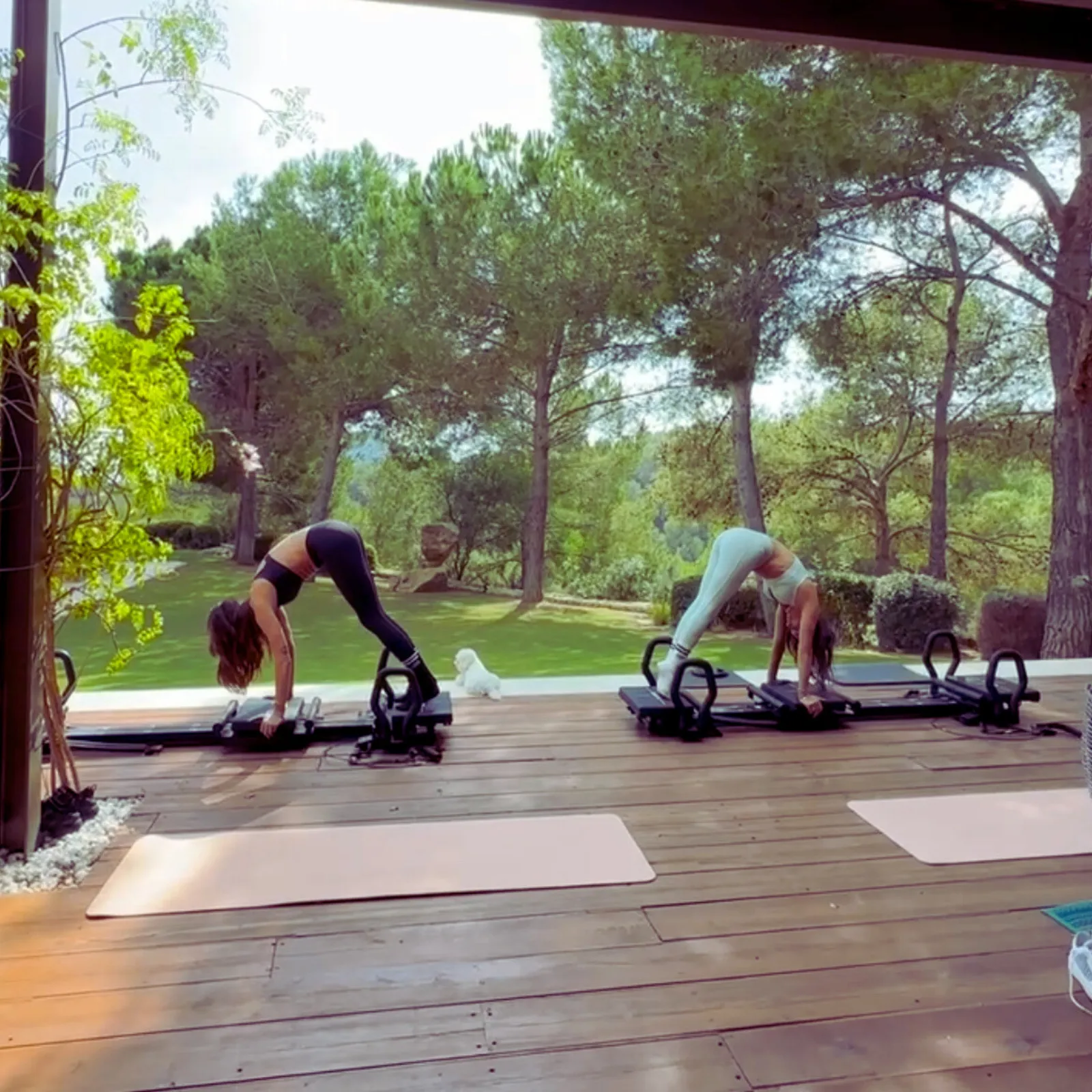 LAGREE SOCIETY IBIZA - Studio Lagree Fitness — träningsstudio-studio i Eivissa — bild 3