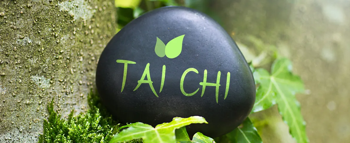 Tai Chi Chuan Uwe Kroggel — kampfsport-studio in Langenfeld (Rheinland) — 2