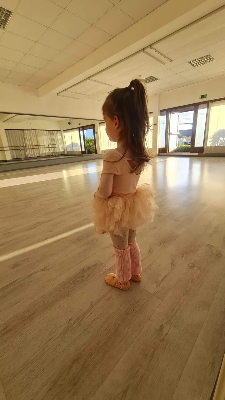 Tanzschule DLC Dance Like Crazy — tanz-studio in Vaihingen an der Enz — 4