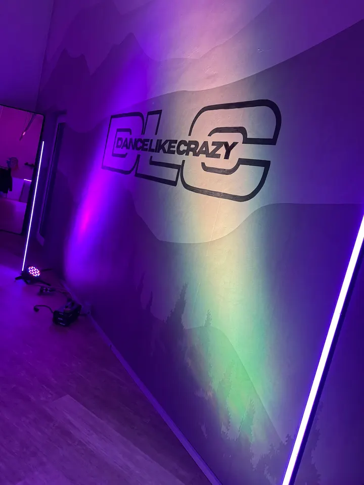 Tanzschule DLC Dance Like Crazy — Tanz in Vaihingen an der Enz