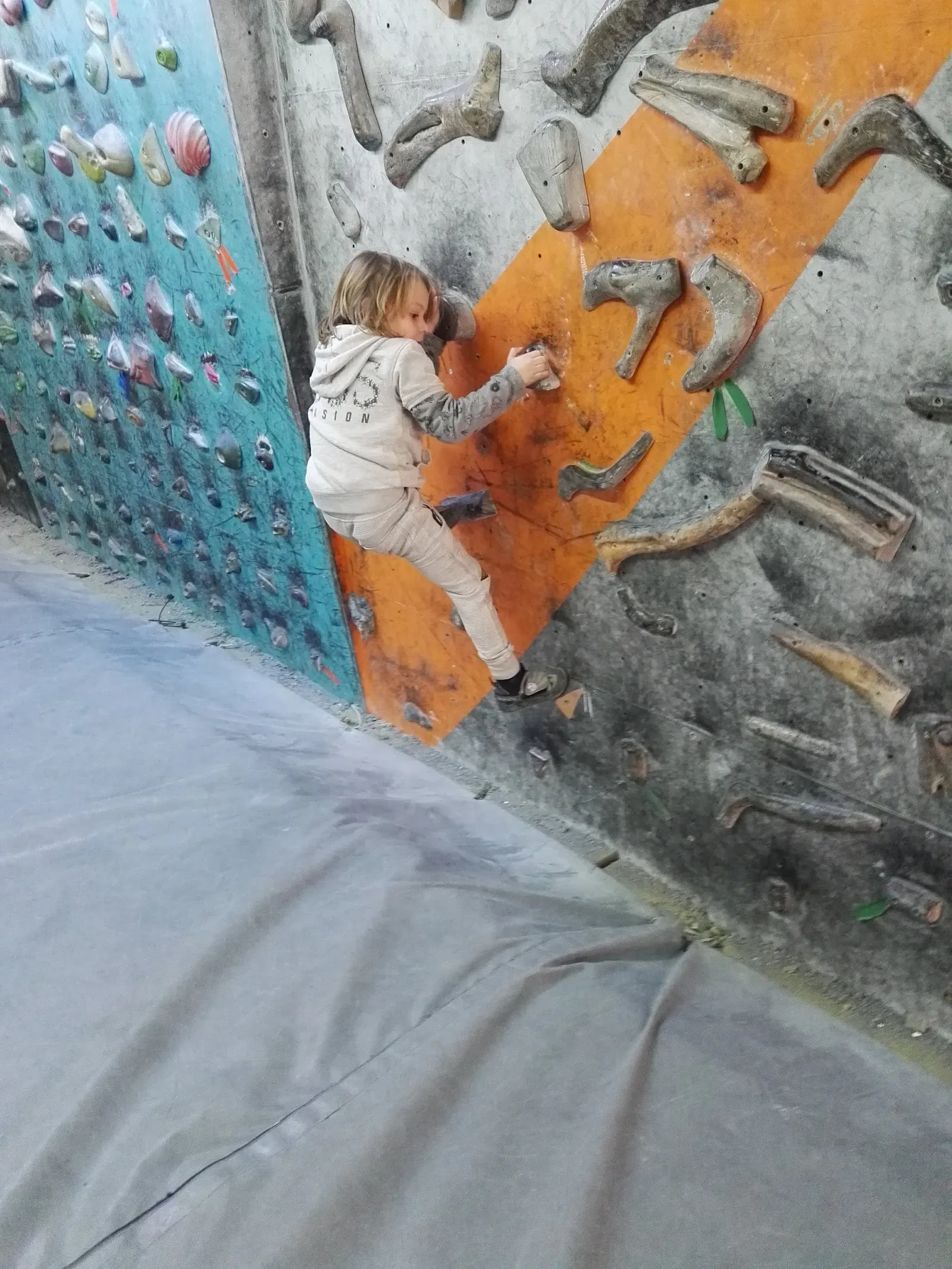 esRocodrom Rocódromo — escalada-studio en Inca — 3