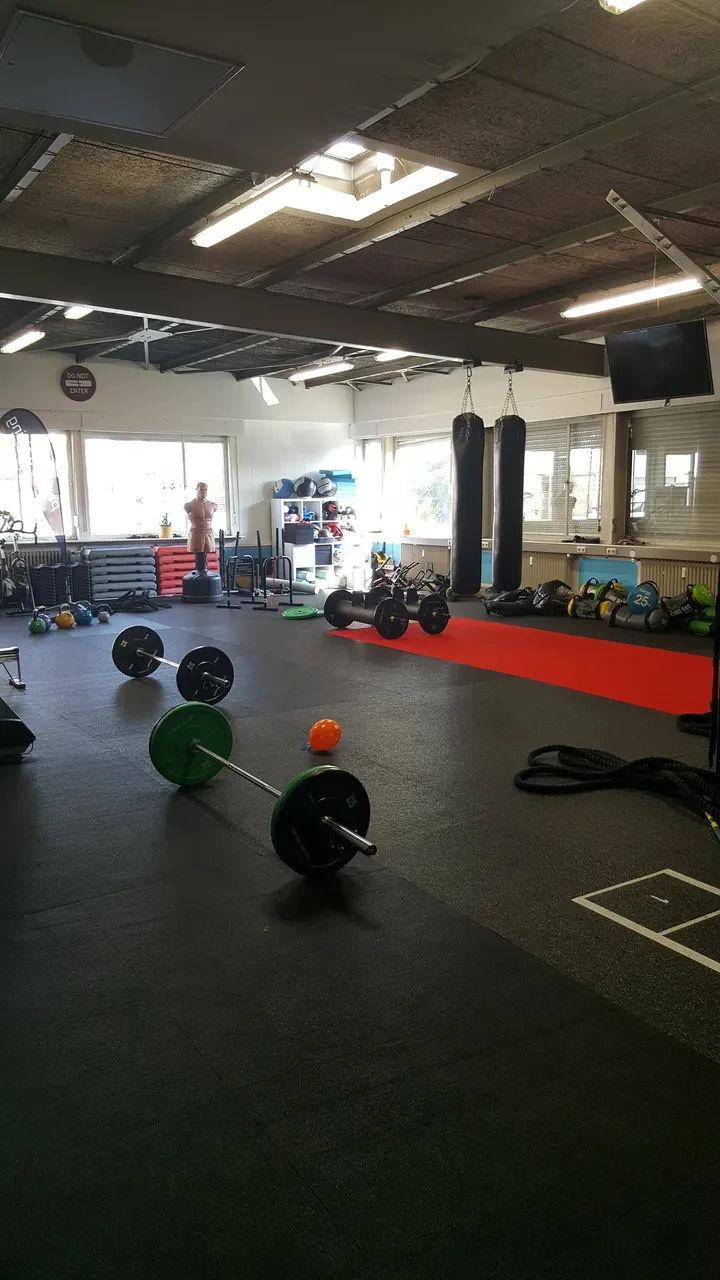 Paxtraining Frankfurt — Boxen in Bockenheim, Frankfurt am Main