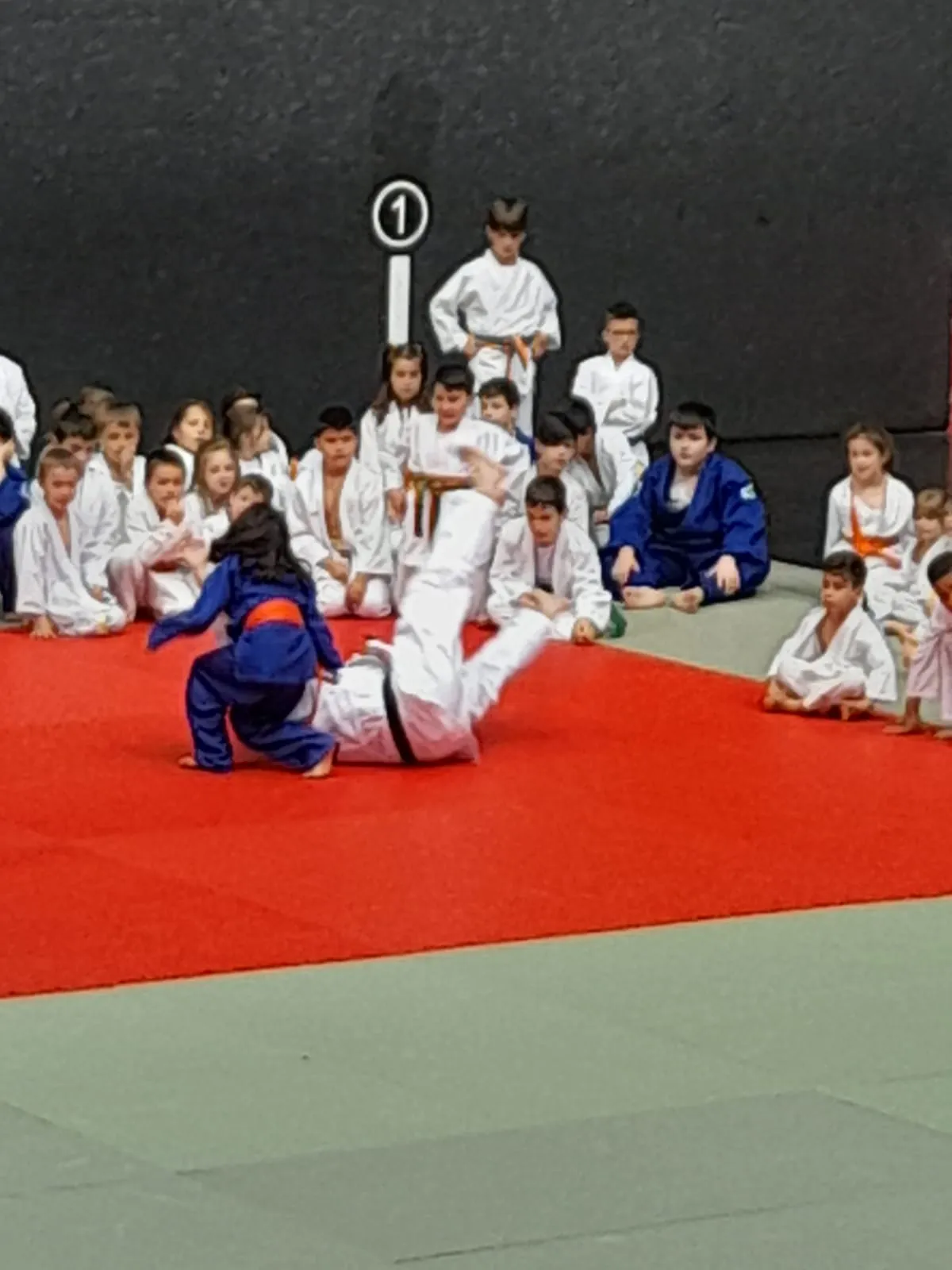 Club Judo Erandio — artes marciales-studio en Altzaga — 2
