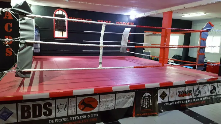 Amaro Bento - AMBO Martials — artes marciais-studio em Sever do Vouga — 3