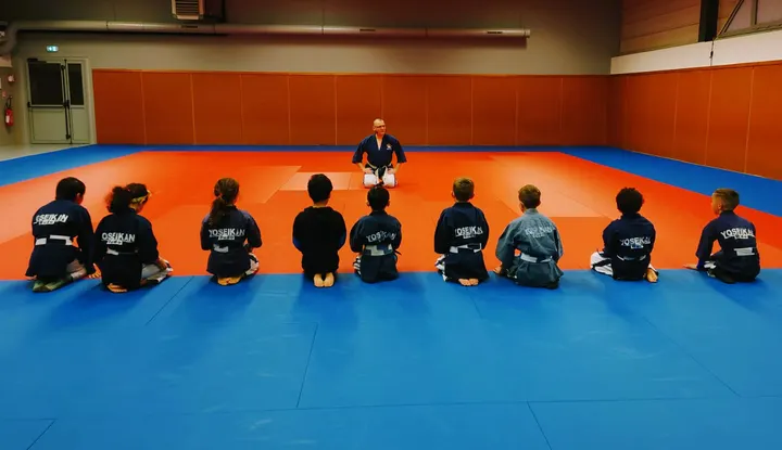 Modern Martial Arts Saint Herblain — arts martiaux-studio à Nantes — 4
