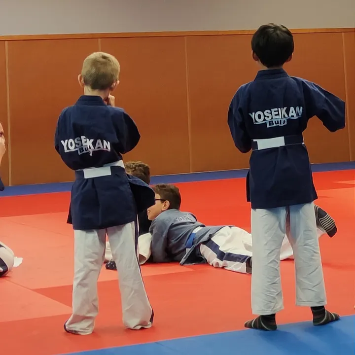 Modern Martial Arts Saint Herblain — arts martiaux-studio à Nantes — 5