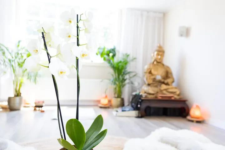 HOME mindfulness — meditatie-studio in Leiden — 5