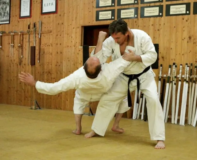 Sakura Budo Dojo — kampfsport-studio in Birkighöfe, Eppelheim — 2