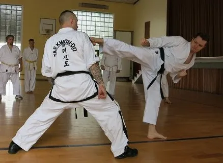 Sakura Budo Dojo — kampfsport-studio in Eppelheim — 3