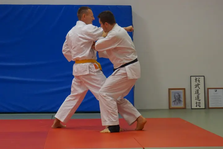 Sakura Budo Dojo — Martial Arts in Birkighöfe, Eppelheim