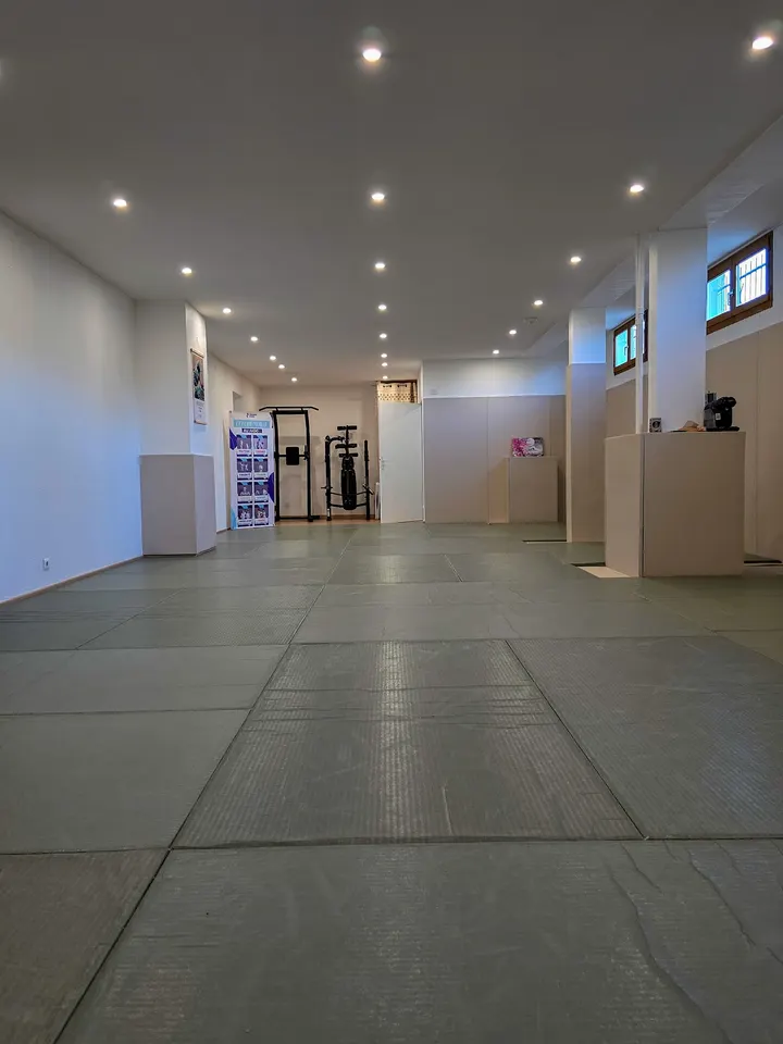 Next Level Jiu Jitsu Besançon — jjb-studio à Observatoire, Besançon — 3