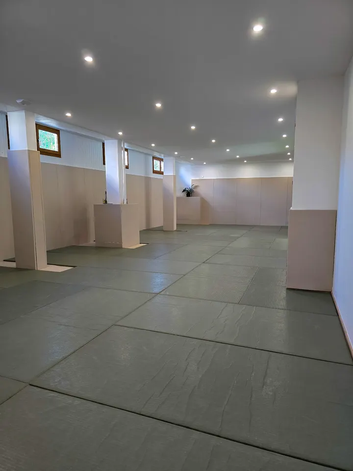 Next Level Jiu Jitsu Besançon — JJB à Observatoire, Besançon