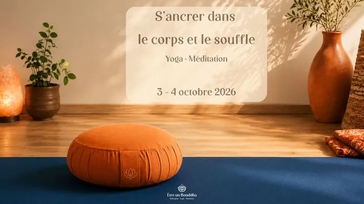 Les Grandes Terres — yoga-studio à Lyon — 3