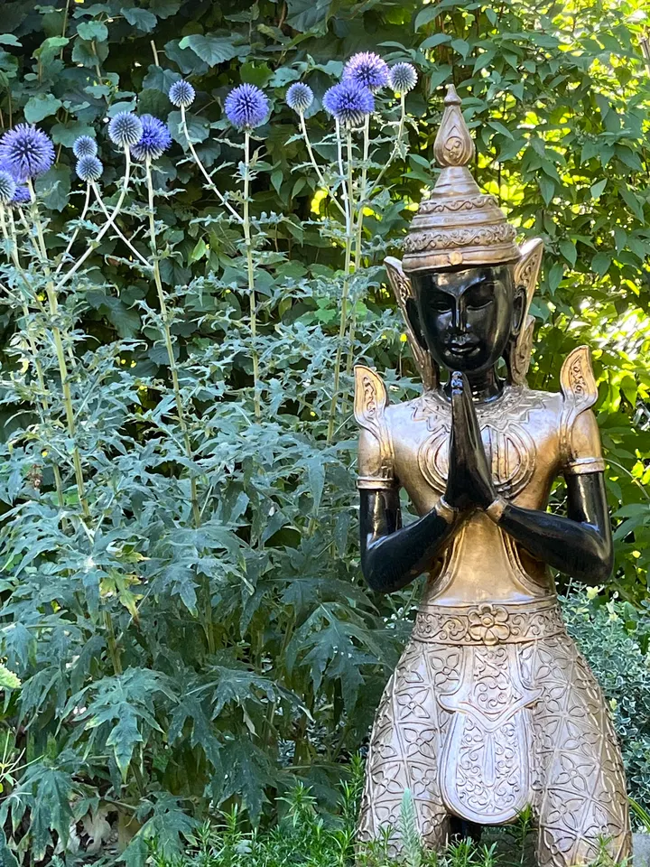 Wildeshausen Yoga — yoga-studio in Wildeshausen — 5
