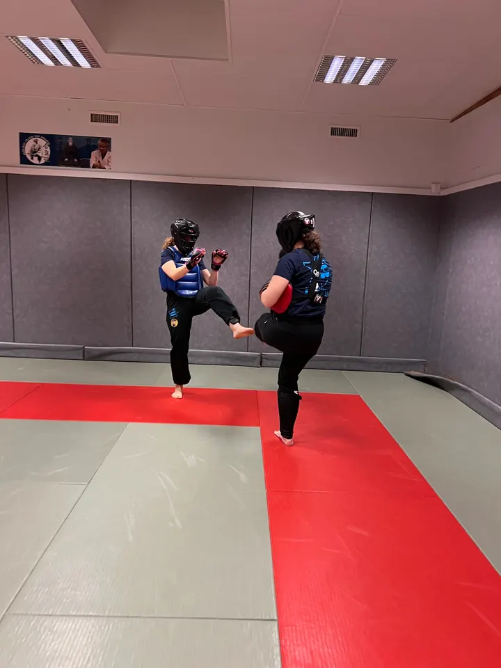 Ecole Martineau KRAV MAGA Gymnase Champ-Long (vendredi) — Arts martiaux à Les Ardriers, Le Mans