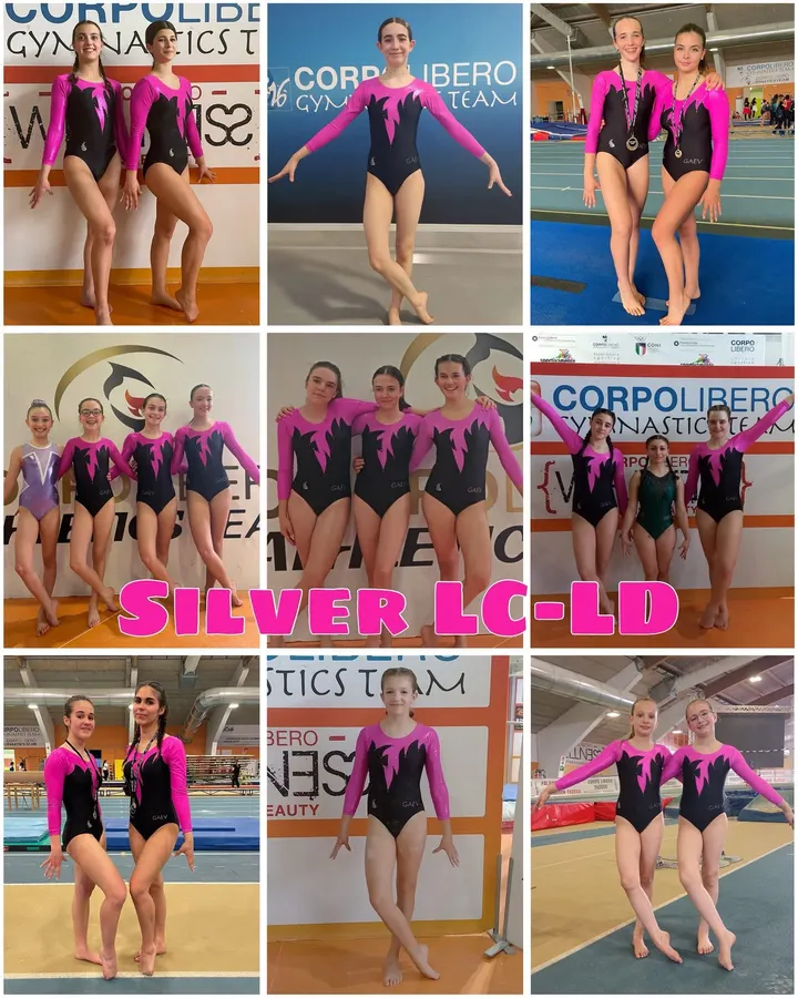 GAEV — ginnastica-studio a San Martino Buon Albergo — 4