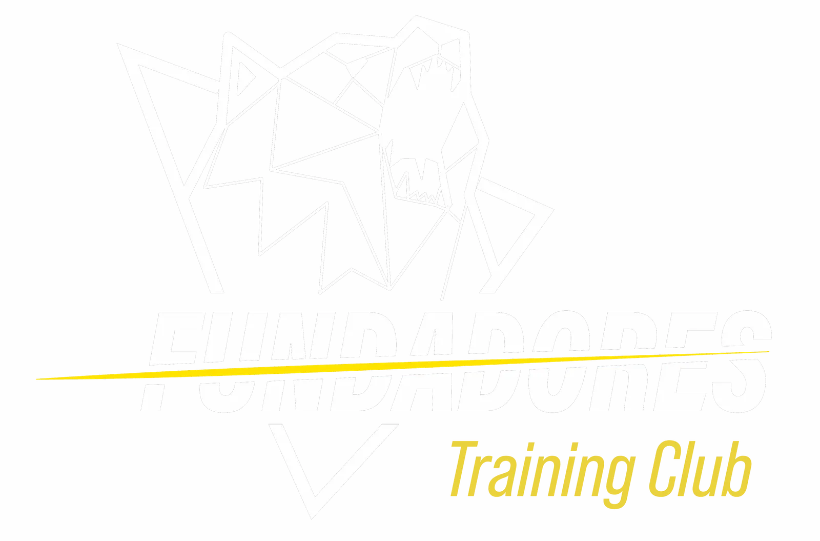 Fundadores Boxeo&Crosstraining — kampsport-studio i Salamanca, Madrid — bild 2