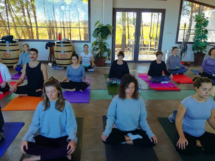 Yoga with Jennison in Valencia Spain — yoga-studio en Montolivet, Valencia — 2