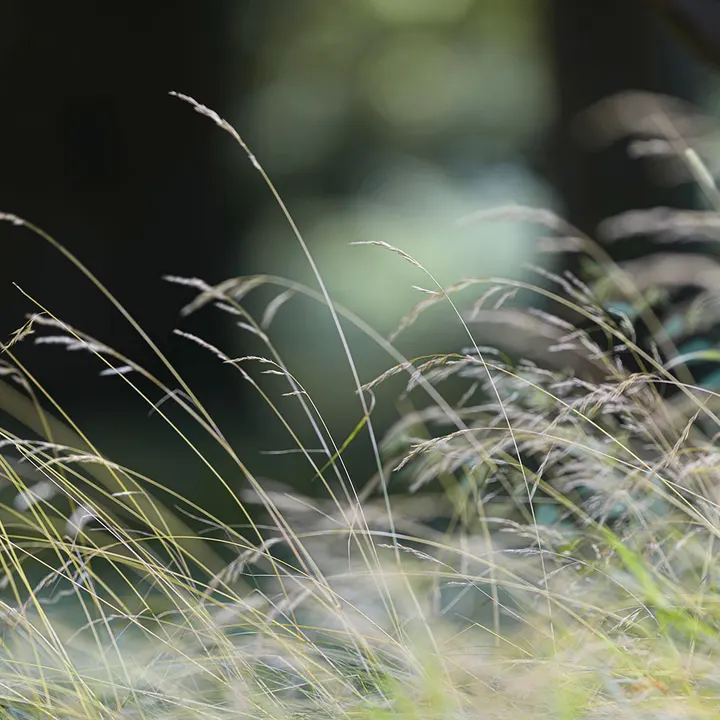 Holistic Body-Soul-Coaching (Yoga | Personal Training | Coaching) Sabine Joost — yoga-studio in Innenstadt, Osnabrück — 3