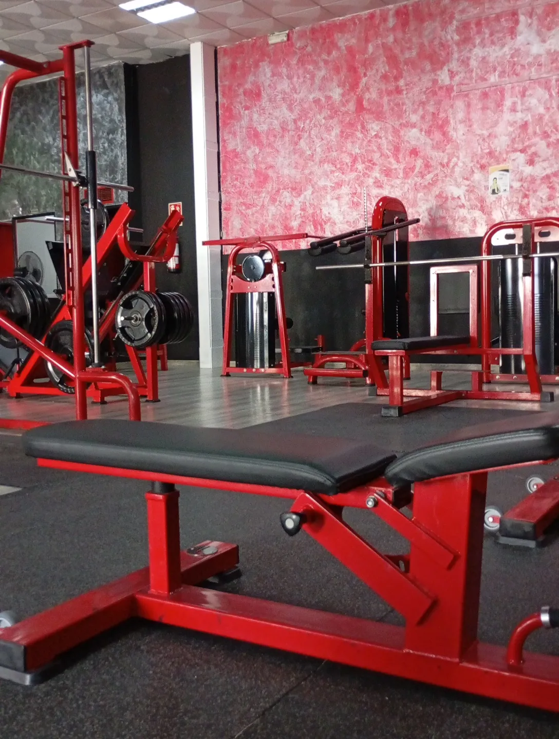 Gimnasio Olimpo S.C. — estudio de fitness-studio en Lebrija — 2