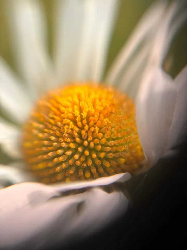 MaryZen — meditatie-studio in De Veste, Helmond — 3