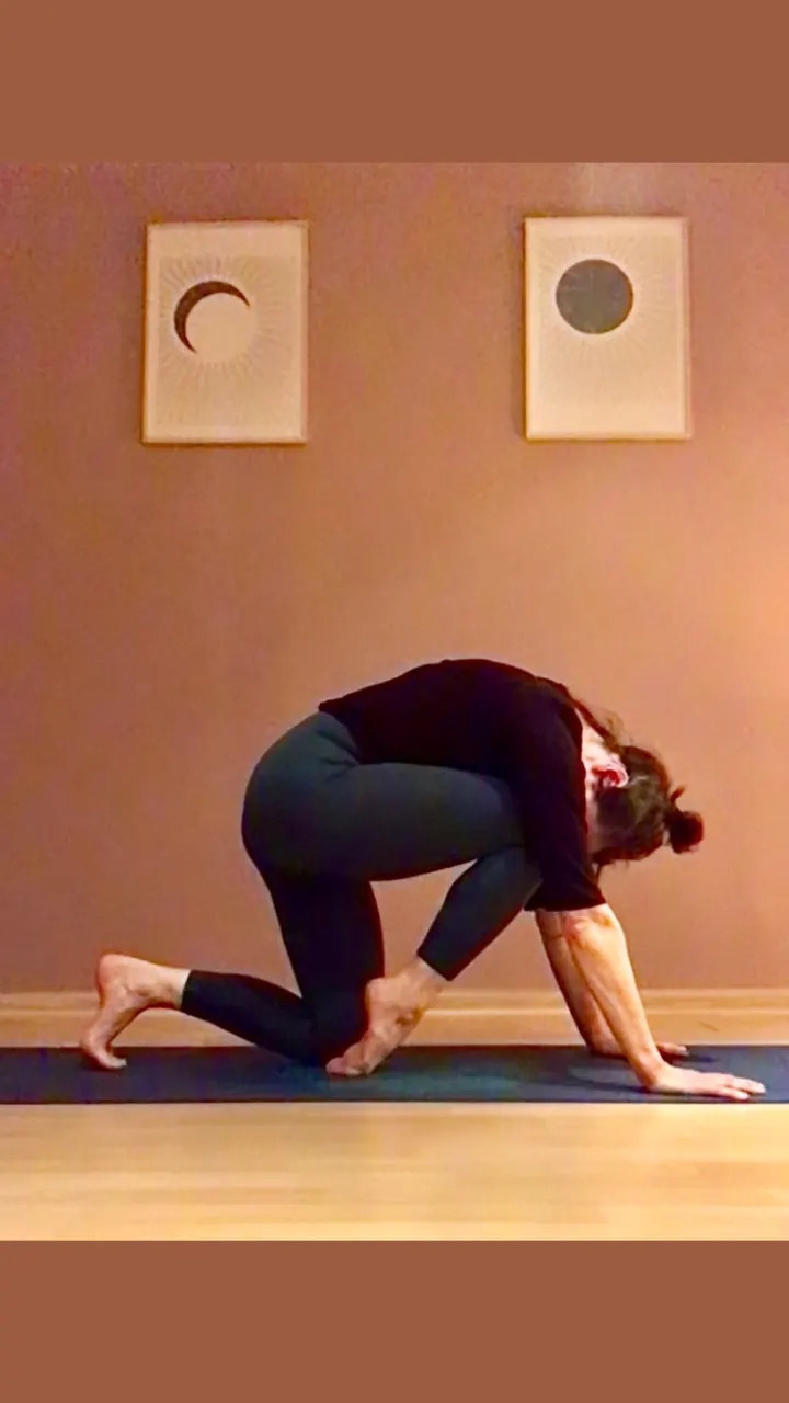 Yoga-Tanz-Coaching — yoga-studio in Kröpeliner-Tor-Vorstadt, Rostock — 3