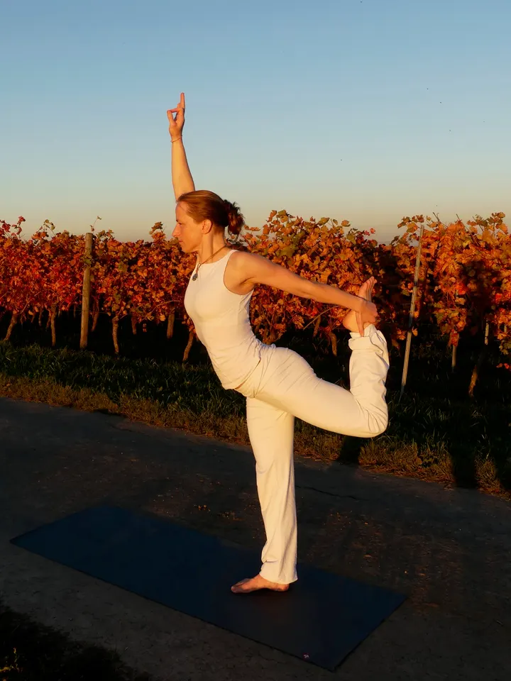 BE YOGI Livingroom — yoga-studio in Oberstadt, Mainz — 2