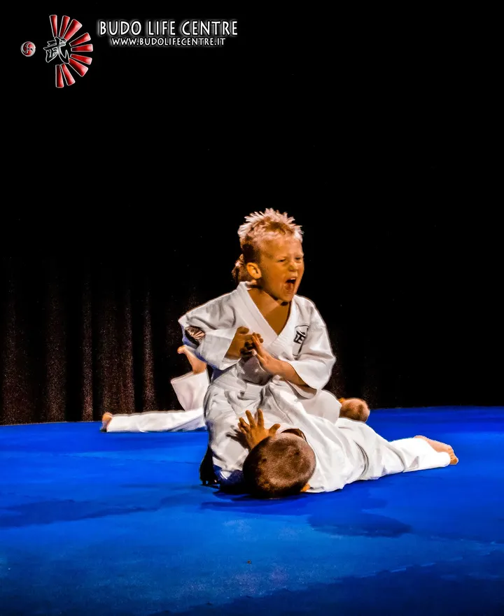 BUDO LIFE CENTRE LATISANA — arti marziali-studio a Latisana — 3