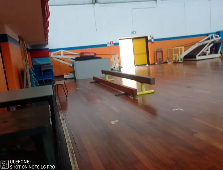 Ginnastica Artistica Treviolo SSD — functional training-studio a Curnasco — 2