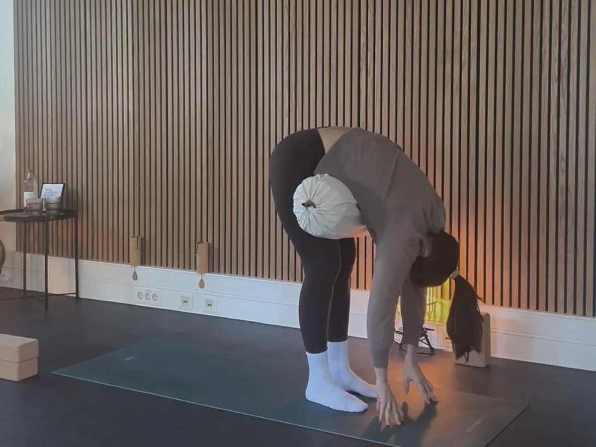 YogaPalme — yoga-studio in Köln — 4
