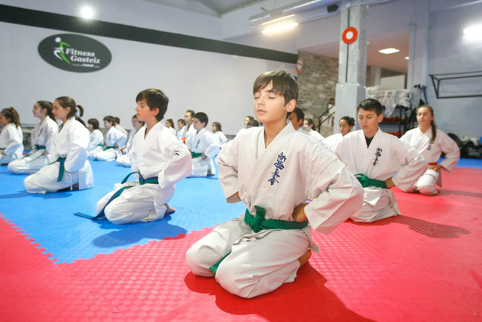 Escuela de Karate Fitness Gasteiz — artes marciales-studio en Aranbizkarra, Vitoria-Gasteiz — 3