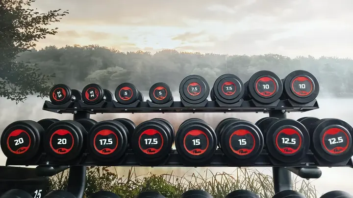 LIONHEART FITNESS — fitnessstudio in Hafen, Osnabrück — 2
