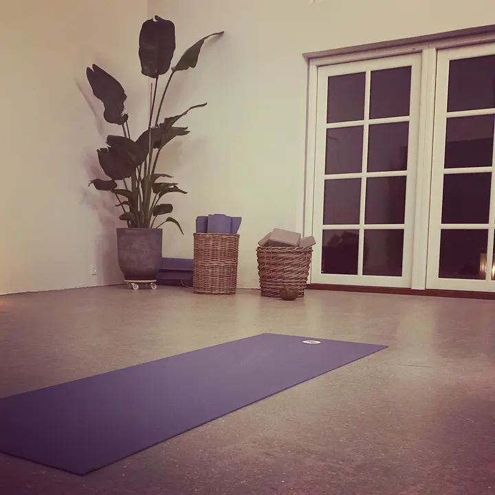 Eliana beyond yoga — yoga-studio i Ølstykke — 4