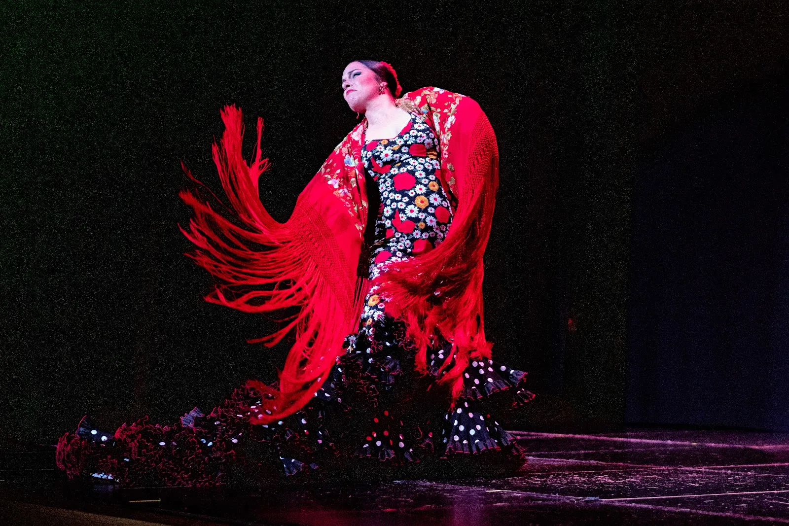 Centro De Baile Jerez — baile-studio en Los Albarizones, Jerez de la Frontera — 2