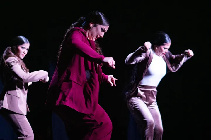 Centro De Baile Jerez — baile-studio en Parque Atlántico, Jerez de la Frontera — 3